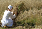 Oogstgroep